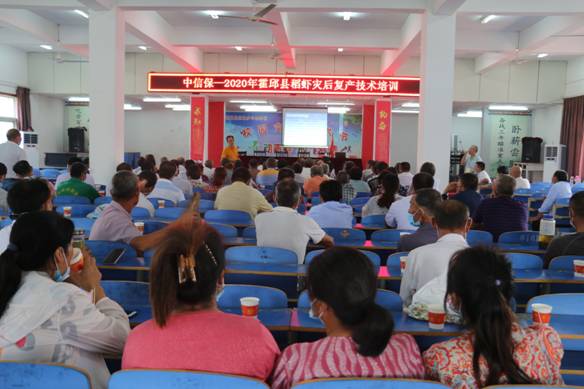 安徽省农科院水产所专家到六安市霍邱县开展 服务精准脱贫 专家下基层 活动