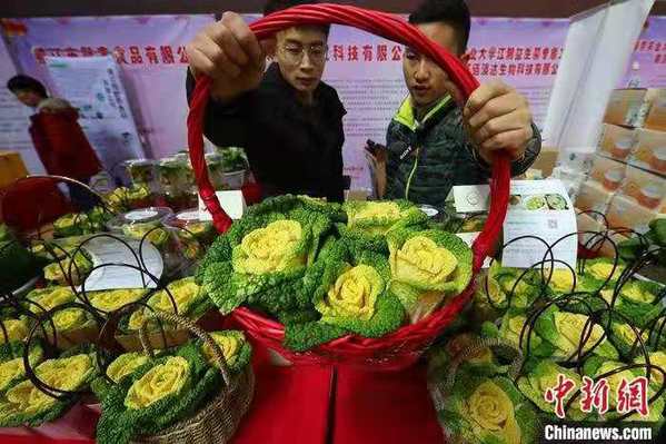 农产品嘉年华 玫瑰白菜盆景蔬菜抢眼