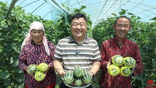 高官寨街道名优特农产品亮相2024章丘区特色产品展销推介会