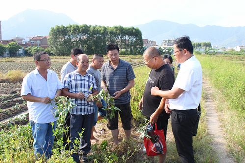 莆田市农科所科技人员赴仙游县杨氏农业综合开发开展科技服务