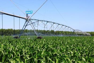 做强做优“双黄“产业 通辽这样打造国家农业科技园区