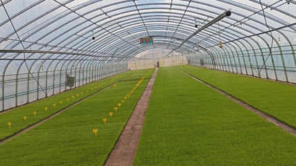 稼穑笃行|前进农场农业科技服务中心