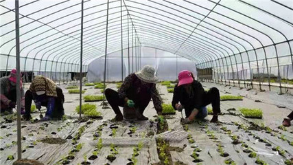 甘肃榆中县:“三抓”聚合力 疫情防控保春耕