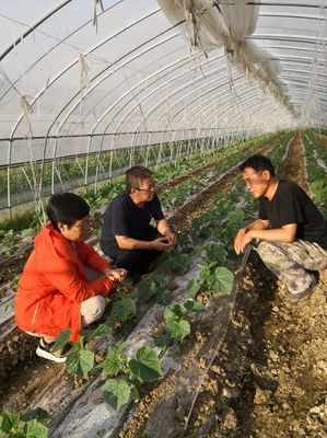 拔尖人才农业服务团精准服务深度贫困村