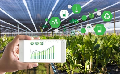 山地农业发展方向,智慧农业助力山地生态。