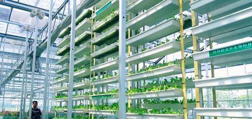 萧山供销联社农资公司:推广为农服务新模式,打造现代农业新亮点