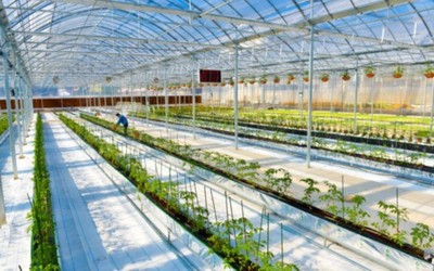 温州瑞安现代农业产业园通过国家级认定