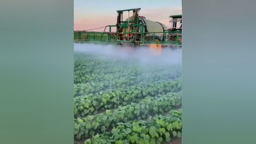 食品销售,商超对接等农业相关的业务 并友情关联相关部门投资农业基础建设,合作一带一路国际业务,公司的服务宗旨在于合作共赢