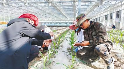 湖北这些示范点和标兵入选!