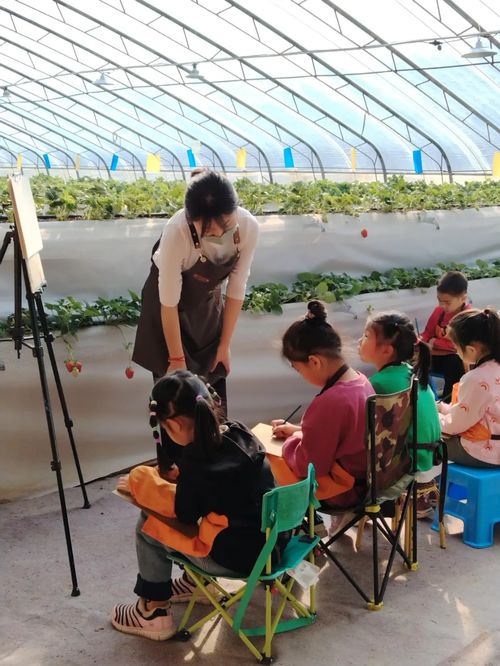 北京慧农智谷农业科技荣获 全国十佳生态农业品牌 荣誉