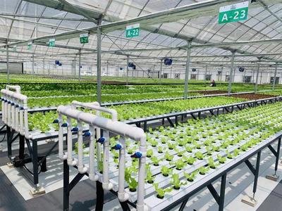 补贴上百万!数字农业工厂:智能化、自动化的农业生产新模式