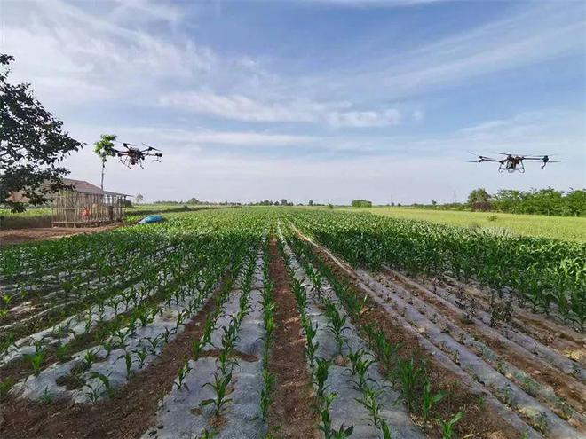 乡村振兴行动丨灵台:发展农业生产社会化服务 培育新时代“田管家”