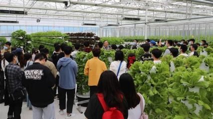 首都高校学生走进智慧农业实验温室体验农业黑科技