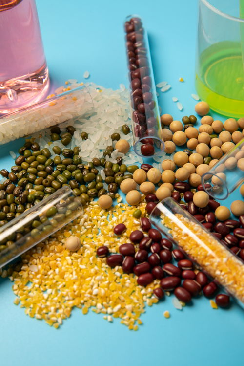 五谷食品安全农业科技食品培育摄影图 插画 下载至来源处