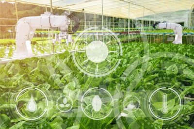 农业科技社会化服务体系建设如何加强?七部门发文部署