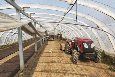 铜山区黄集镇政协联络组在行动