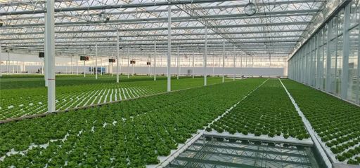 在这里能看到未来农业的“模样”