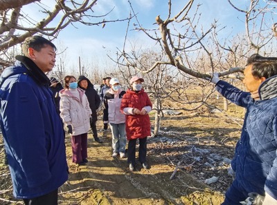 科技助农到田间 服务果农暖心田--开封市农林科学研究院"四下基层"科技服务纪实
