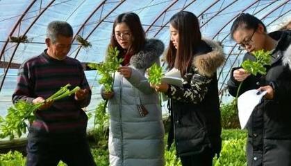 “智囊团”来啦!6个科技小院落户内蒙古杭锦后旗