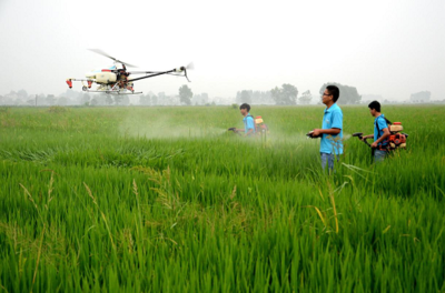 大观区:科技赋能 夯实粮食安全