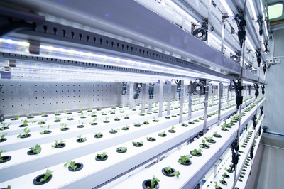 拼多多发布Q3财报,全面加速高质量发展,继续加码农研科技