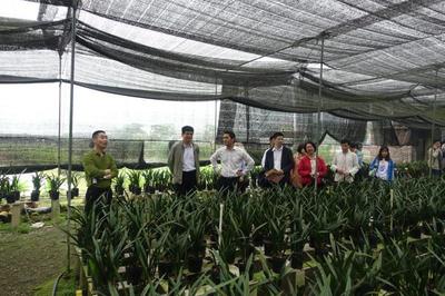 助推乡村振兴:九三学社广东省委到肇专题深调研