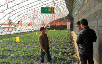 杨凌:中国农业标准化的样板