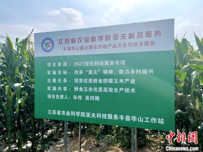 今年在大沙河畔示范种植的40亩鲜食玉米地竖起服务牌. 朱伟 摄