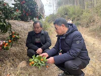 永福县:迎春雨备春耕促春管