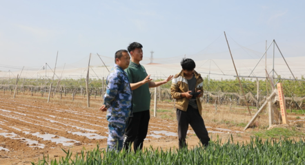 青岛丽斌农业综合农事服务中心 打通为农服务“最后一公里”