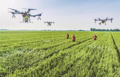 泗洪:科技赋能 智慧田管