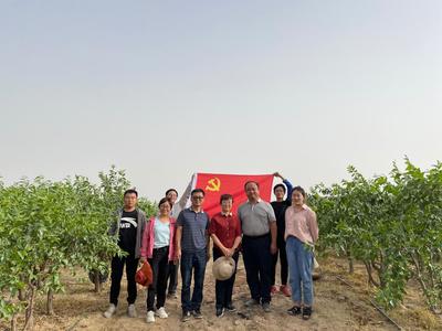 学党史·办实事8|林果业科技服务团队服务基层助力乡村振兴