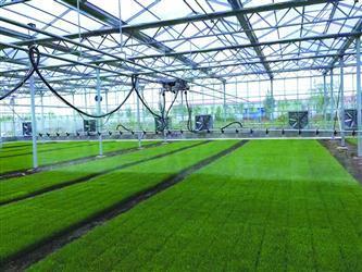 从几户农民几台农机合伙替他人翻地播种,到建育苗基地为水稻种植户提供秧苗,再到自己租地种地-- 承接土地流转 农机合作社做大了__中国青年网