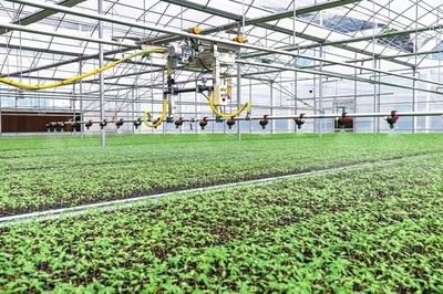 奋力绘就乡村振兴米易画卷 --米易县农业农村局全力推动农业农村高质量发展记