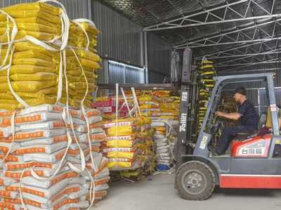 绿色农资进万家 科技服务助丰收--青岛市供销社开展2025年绿色农资下乡活动