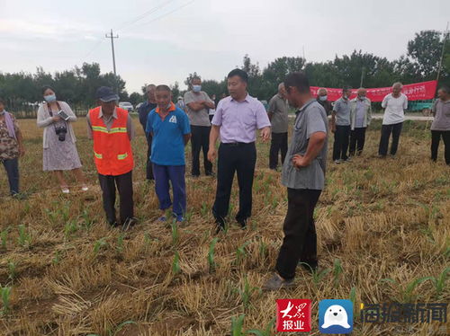 山东滨州国家农业科技园区 以农业科技赋能文明建设