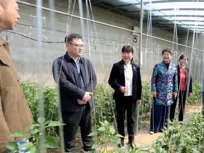 蚌埠市“巾帼科技助农直通车”开进五河县朱顶镇