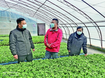 酒泉市农科院科技服务保障蔬菜生产安全