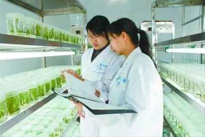 干货!互联网+农业的10大好处