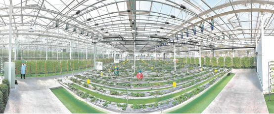 春耕里的“科技范”