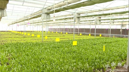 【我们这十年】科技创新助力秦州经济高质量发展(图)