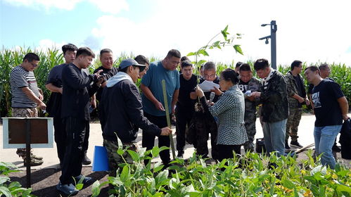 鹤山农场 培训赋新能,农技促提升