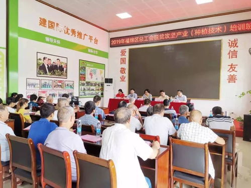 2019年中农富玉大事记 不忘初心,牢记使命,再创辉煌