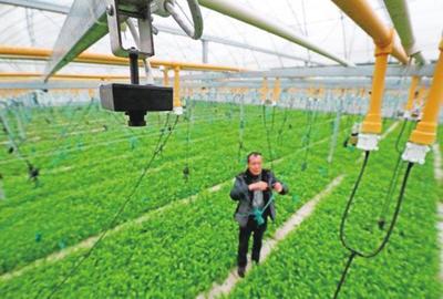 农业科技报-内容详细