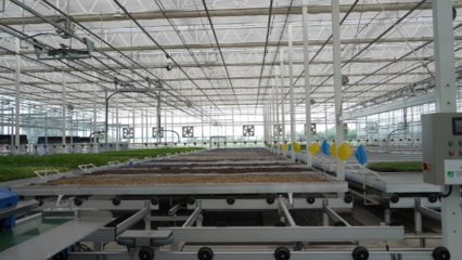 科技赋能 助力未来农业高质量发展--走进新疆农业博览园