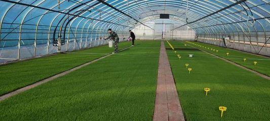 稼穑笃行|前进农场农业科技服务中心