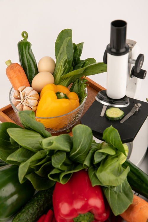 甜椒上海青食品安全农业科技食品培育摄影图 插画 下载至来源处