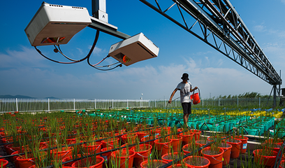 江苏南京国家农业高新技术产业示范区