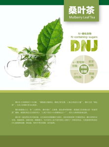 铭旺农业科技 用心打造纯天然绿色食品