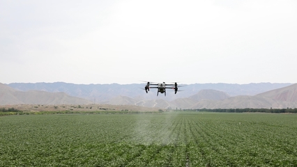 八师一四三团:智慧农业显身手 科技种田有盼头